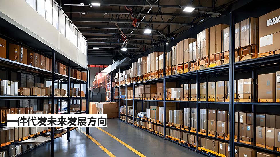一件代发未来发展方向 一件代发未来发展方向