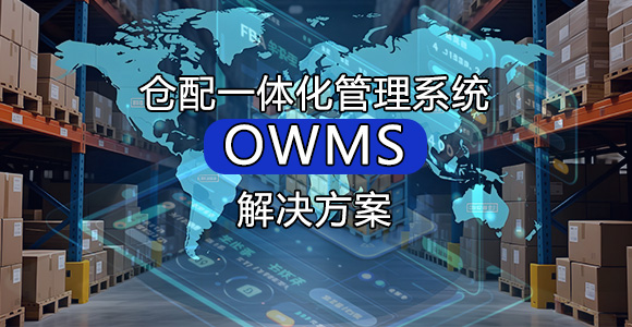 仓配一体化系统方案